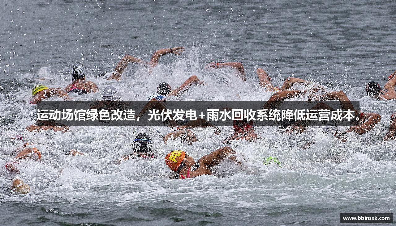 BB视讯真人